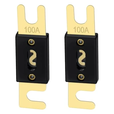 Afbeelding van Heschen Set van 2 ANL 100A zekeringen voor auto audiosysteem zwart en goud