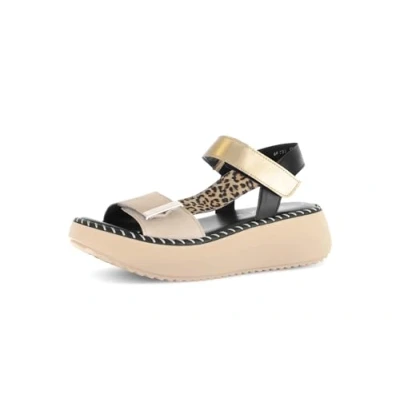Afbeelding van Gabor Sandalen met riempjes voor dames, 0 tot 14, 41 EU