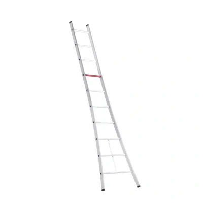 Afbeelding van Altrex 1 delige ladder Ventoux 10 sporten