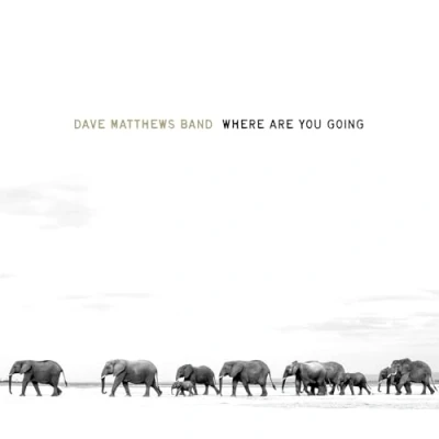 Afbeelding van Where Are You Going: The Singles