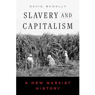Afbeelding van Slavery and Capitalism