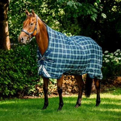 Image de Rhino by Horseware Wug Turnout 0g Hunter Check/Marine/VertVendu par Agradi