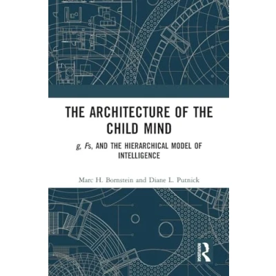 Afbeelding van the Architecture of Child Mind