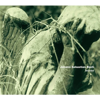 Afbeelding van Various Artists J.S. Bach Revisited (CD)