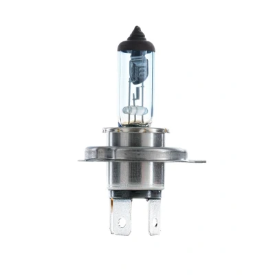 Afbeelding van Bosch Gloeilamp koplamp / mistlicht 1 987 302 045