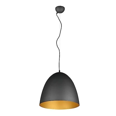Afbeelding van Reality LED Hanglamp Hangverlichting E27 Fitting 1 lichts Rond Zwart/Goud Aluminium