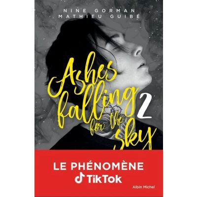 Image de Ashes falling for the sky tome 2