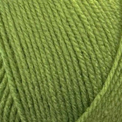 Afbeelding van Stylecraft Special DK 2176 Leaf
