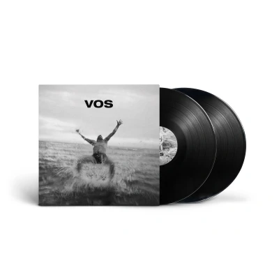 Afbeelding van Various Artists Vos (LP)