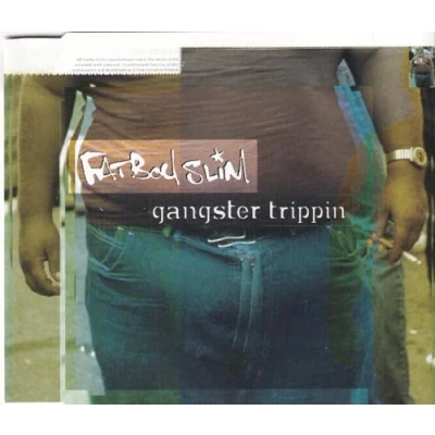 Afbeelding van CD single Fatboy Slim Gangster Trippin