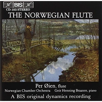 Afbeelding van Per Øien, Geir Henning Braaten, Norwegian Chamber Orchestra The Flute (CD)