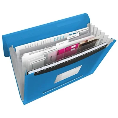 Afbeelding van Esselte projectmap Vivida blauw voorordner
