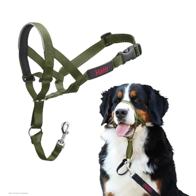 Afbeelding van Halti hondenhoofdband bosgroen maat 4: Berner Sennenhond, Duitse Dog, Rottweiler Hond