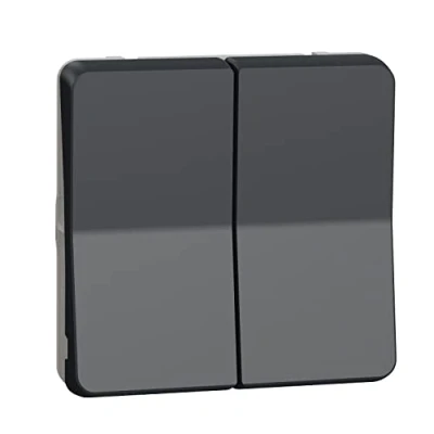 Afbeelding van Schneider Electric Mureva Styl Dubbele drukknop Componeerbaar IP55 IK07 Grijs MUR35326
