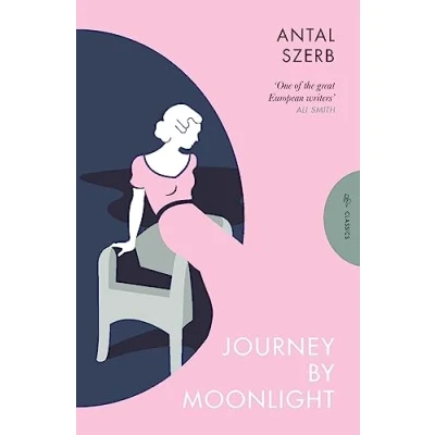 Afbeelding van Pushkin Press Classics Journey by Moonlight