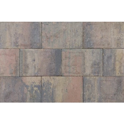 Afbeelding van Straksteen 20x30x6 cm bruin gv