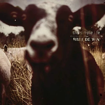 Afbeelding van Bart De Win The Simple Life (CD)
