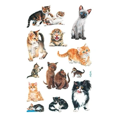 Afbeelding van Avery Papieretiket Z design Kids pakje a 3 vel kittens