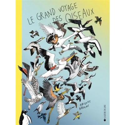 Image de Le grand voyage des oiseaux