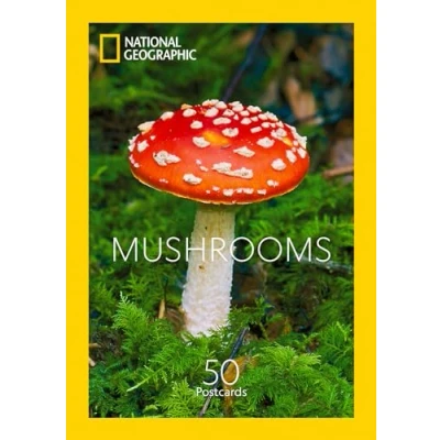 Afbeelding van Mushrooms