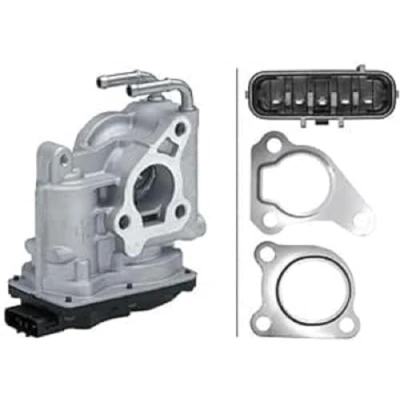 Afbeelding van HELLA 6NU 014 864 571 EGR klep Electrisch met afdichtringen TOYOTA: Avensis III Estate