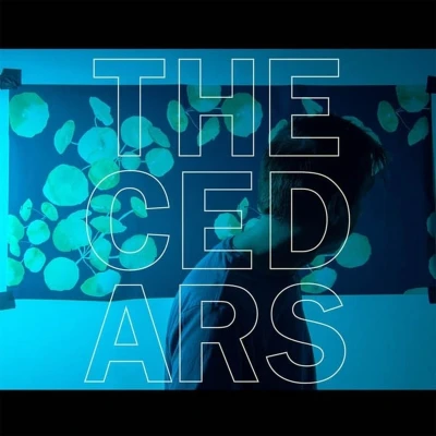 Afbeelding van John Vanderslice Cedars