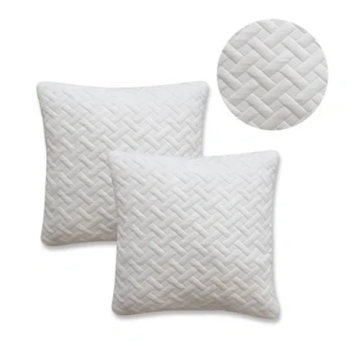 Image de Lot de 2 oreillers a mémoire forme 60x60 cm
