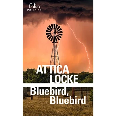 Afbeelding van Bluebird, Bluebird