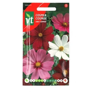 Afbeelding van Cosmea Early summer Een Zomer vol Bloemen met Kleurrijke