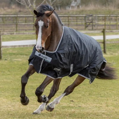 Afbeelding van Bucas Anniversary Turnout 150g Stay Dry Black/Silver 135/183