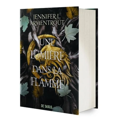 Image de Une Lumière dans La flamme (relié collector) Tome 02 Chair et le Feu