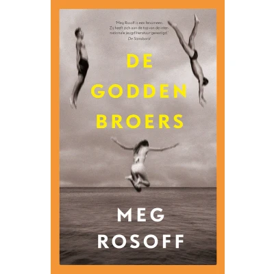 Afbeelding van De Godden broers