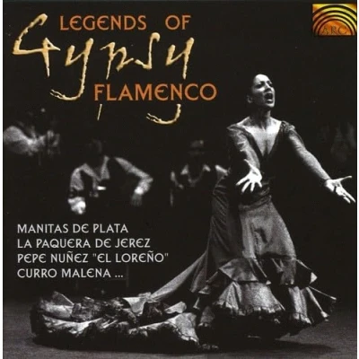 Afbeelding van Legends Of Gypsy Flamenco