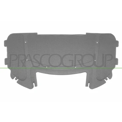 Afbeelding van PRASCO BM0241945 Motorruimte isolatie Motorkap BMW: 3 Saloon, Touring