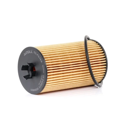 Afbeelding van Ashika 10 ECO073 motorblok