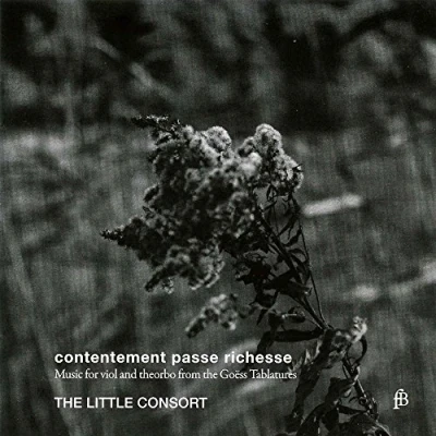 Afbeelding van The Little Consort Contentement Passe Richesse (CD)