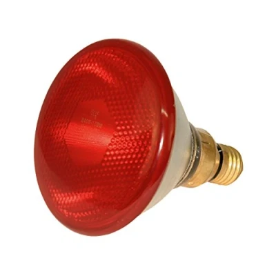 Image de Kerbl Ampoule Économique Infrarouge Rouge 175W