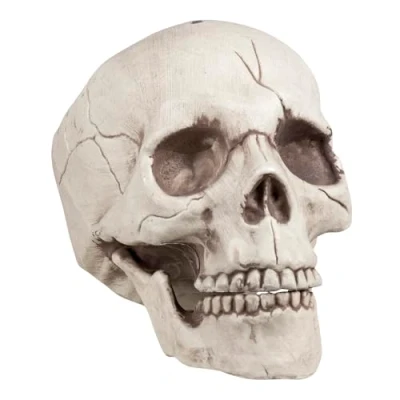 Afbeelding van Boland Schedel Jawbone met beweegbare kaak Piraten;Horror Piraten Horror