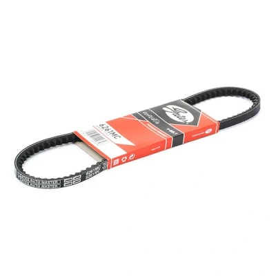 Afbeelding van Gates V riem 6261MC