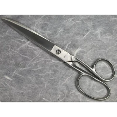 Afbeelding van A.A.S. schoolschaar 21 cm Schaar RVS