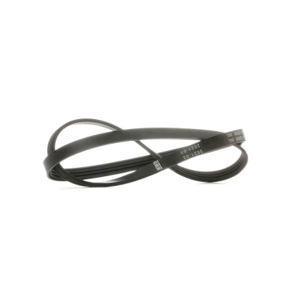 Afbeelding van Bosch Poly V riem 1 987 946 081
