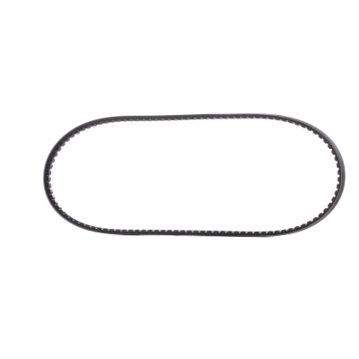 Afbeelding van V riem CONTINENTAL CTAM AVX13X1125