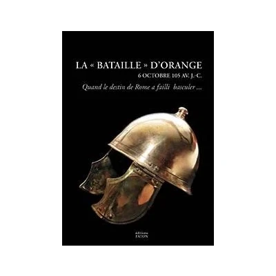 Image de La Bataille d&#039;Orange (6 octobre 105 av. J. C.)