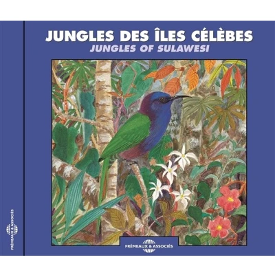 Afbeelding van Various Artists Jungles Of Sulawesi (CD)