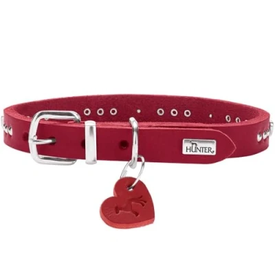 Afbeelding van Hunter Hondenhalsband Aalborg Hearts Rood