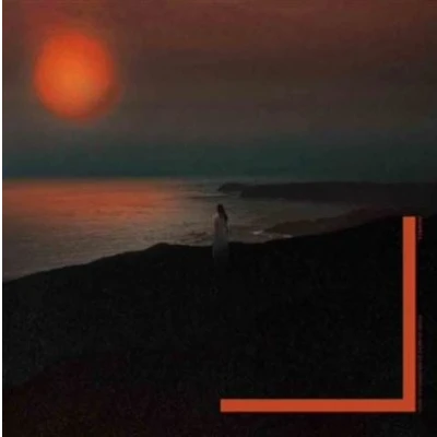 Image de Every Moment, Everything You Need Vinyle Orange