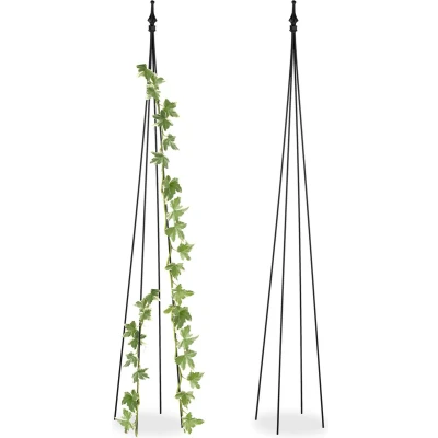 Afbeelding van Relaxdays plantensteun set van 2 rankhulp 150 cm hoog klimplanten ijzer zwart