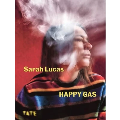 Afbeelding van Sarah Lucas: Happy Gas