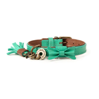 Afbeelding van Dwam Halsband Boomer Turquoise Hondenhalsband 29 33x2 cm