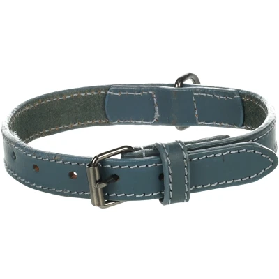 Afbeelding van Flamingo Denver Gewoon Halsband Honden Blauw S/m 31 39cm 20mm 1st 174499
